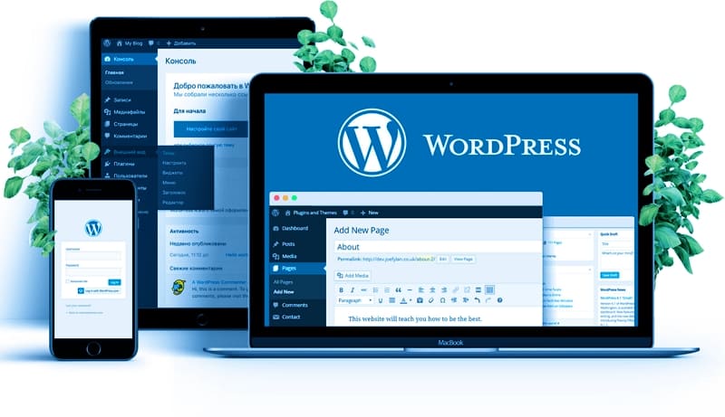 site-wordpress